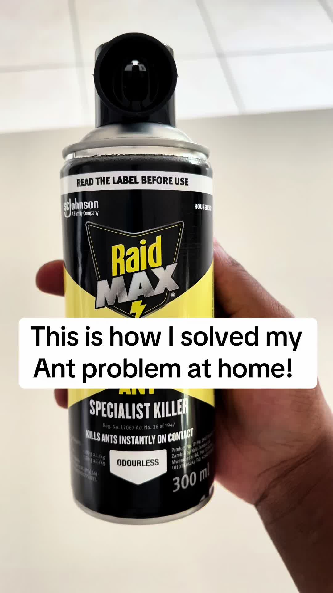 Ant Problem Home Treatment 4.4M views